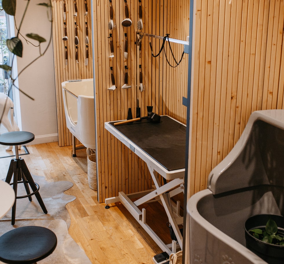 We love dogs Spa - wellness lázně pro pejsky - vykoupejte si svého pejska s kvalitními přípravky a kosmetikou 01